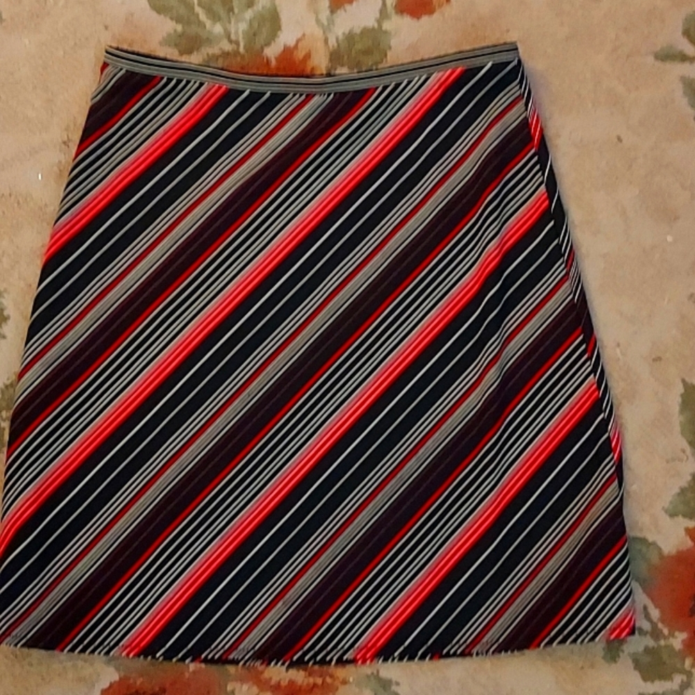 Express skirt